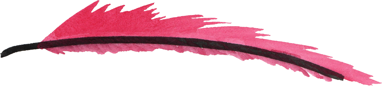 Free Download - Watercolor Feather Png Pink (1275x289)