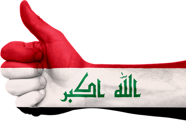 Iraq, Flag, Hand, Symbol, National - Iraq Flag Png (640x418)