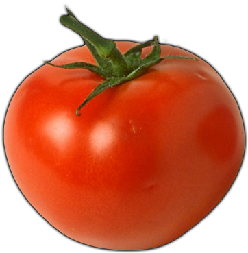 Click Here To See Tomato Album - Man Who Can T Visualize A Horse Galloping On A Tomato (500x400)