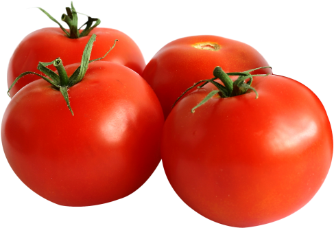 Hd Tomato Image - Tomato Png (500x349)
