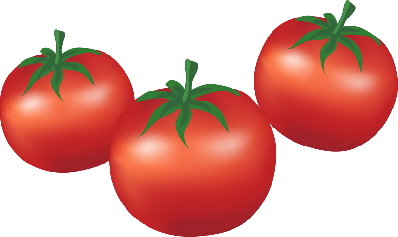 Plum Tomato Bush Tomato Cartoon Vegetable - Tomato Cartoon (815x487)