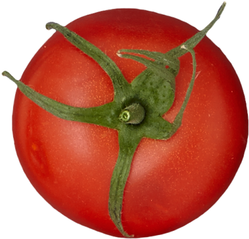 1 - Tomato - Plum Tomato (640x640)