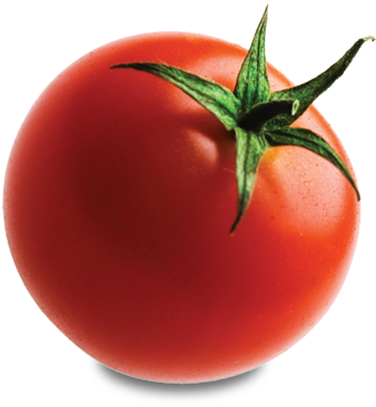 Tomato - Tomato Png Transparent (400x380)