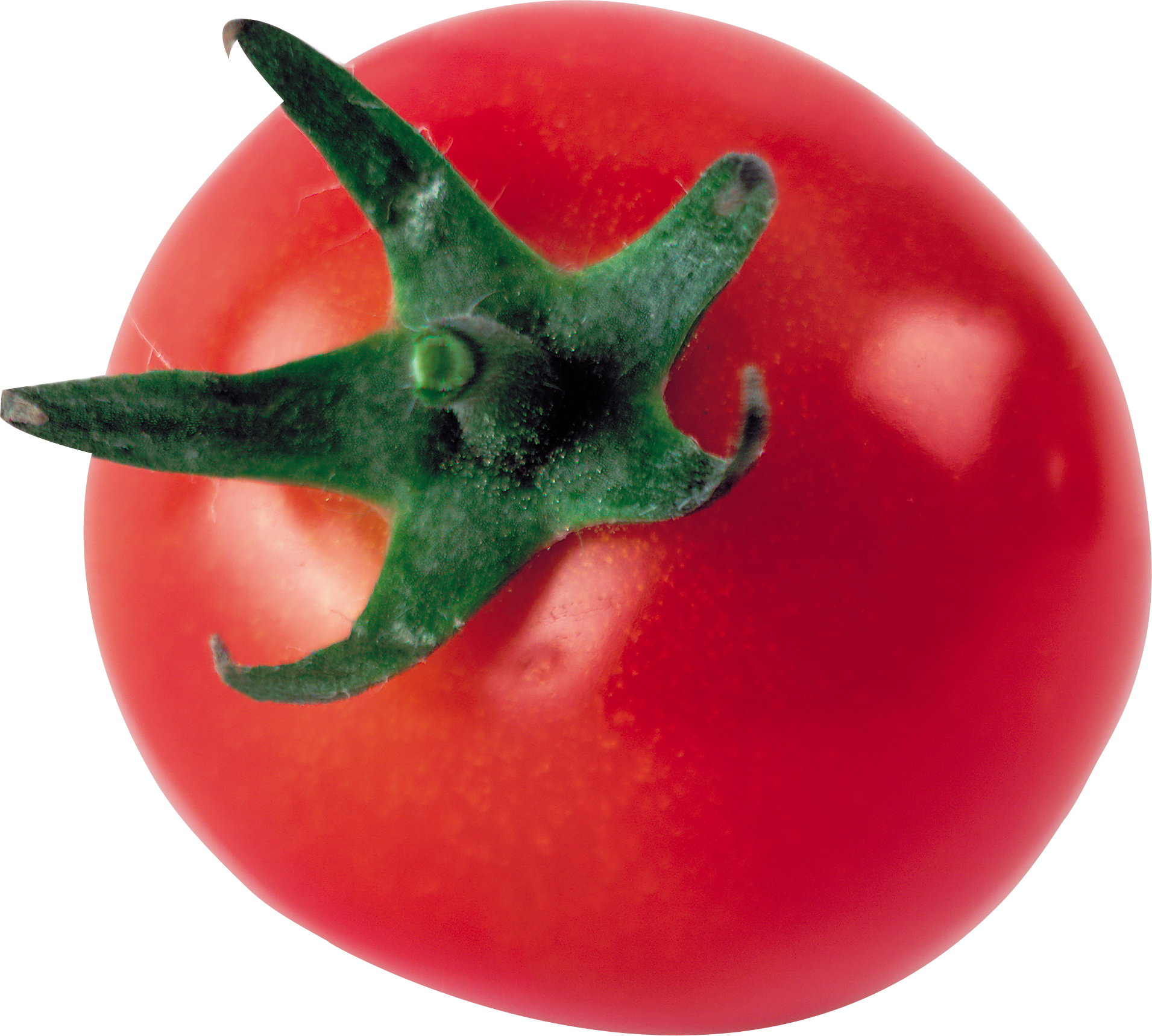 Tomato Png Images Free Download - Tomato Png Images Free Download (1911x1719)
