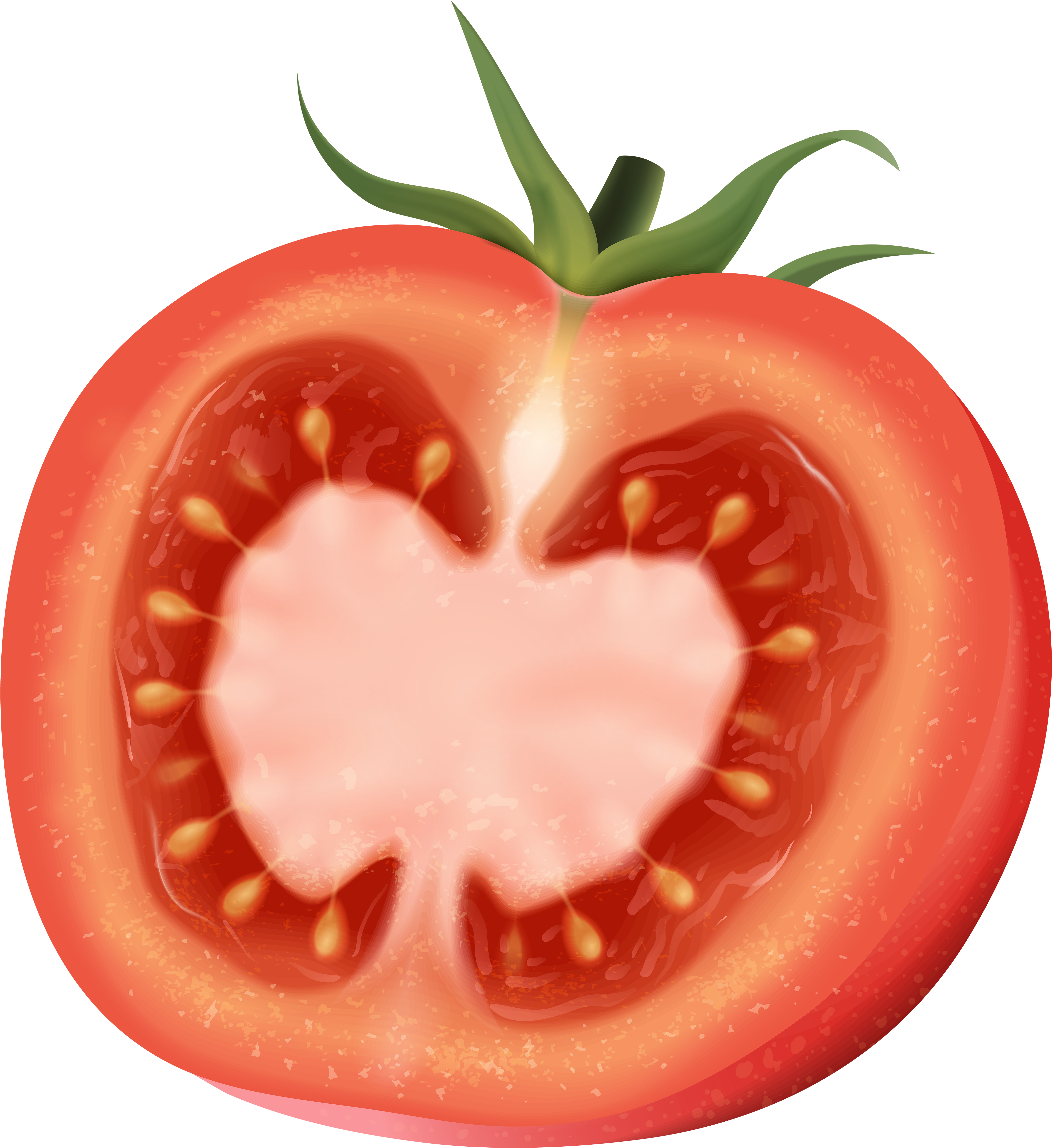 Tomato Half Png Transparent Clip Art Image - Tomato Half Png Transparent Clip Art Image (5379x6000)