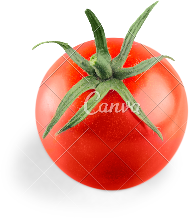 Tomato On White - Royalty-free (786x800)