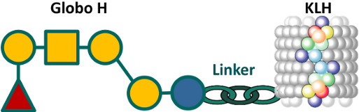 Adagloxad Simolenin Clinical Trial - Linker (600x200)