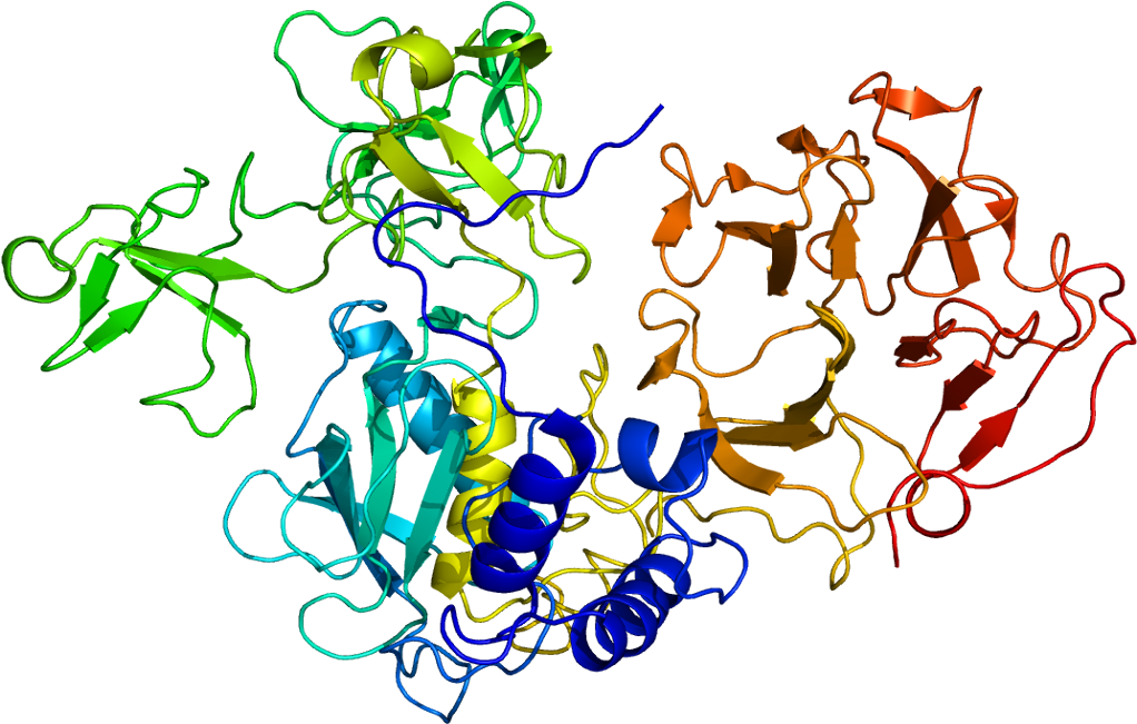 Mmp 2 Structure (1071x700)