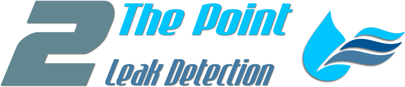 Swimming Pool And Slab Leak Detection - Graphics (1299x308)