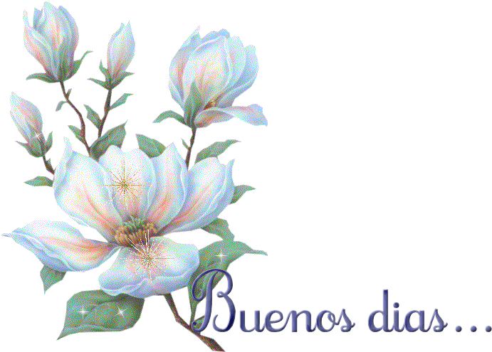 - - - - - - - - - - Fondos Para Ti - - - - - - - - - Buenos Dias Con Flores Blancas (718x513)
