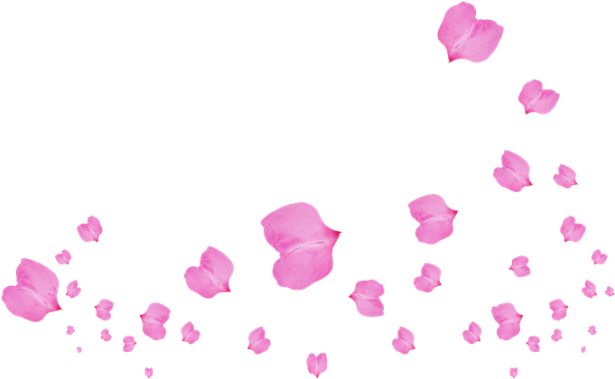 &174 Gifs Y Fondos - Petalos De Flores Png (700x436)