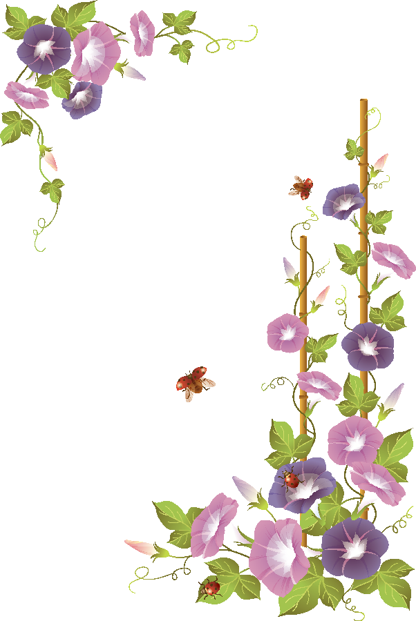 Flores Ilustraciones En Png Para Artesanía Y Diseños - Morning Glory Flower (602x900)