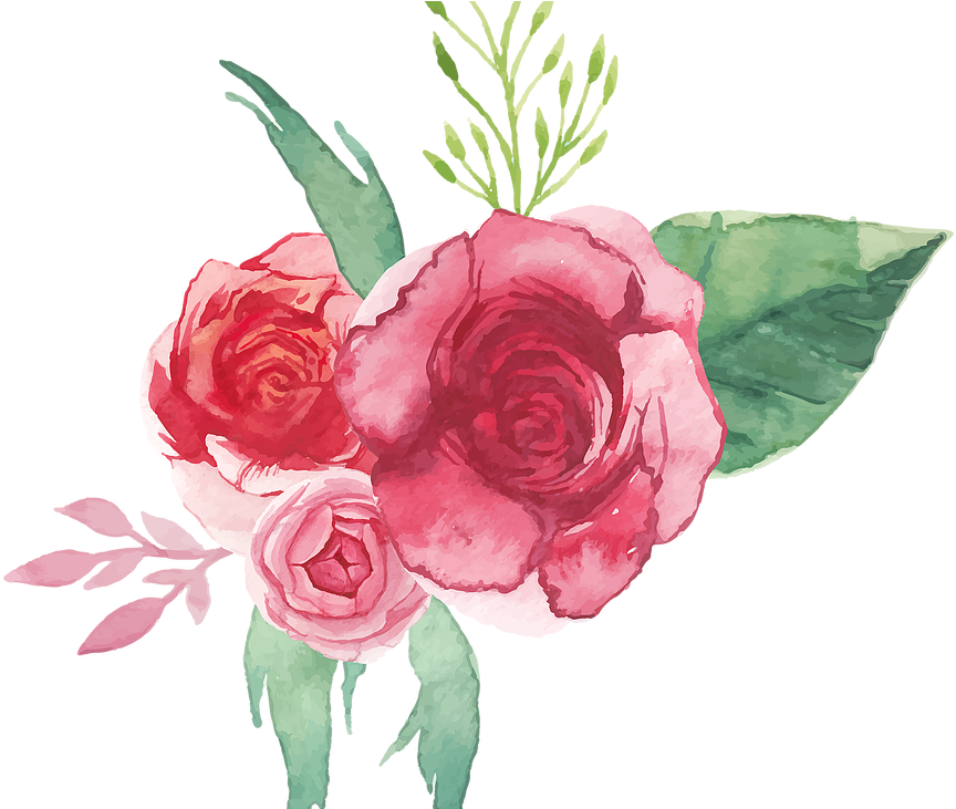 Bridal - Red Rose Watercolor Png (1056x730)