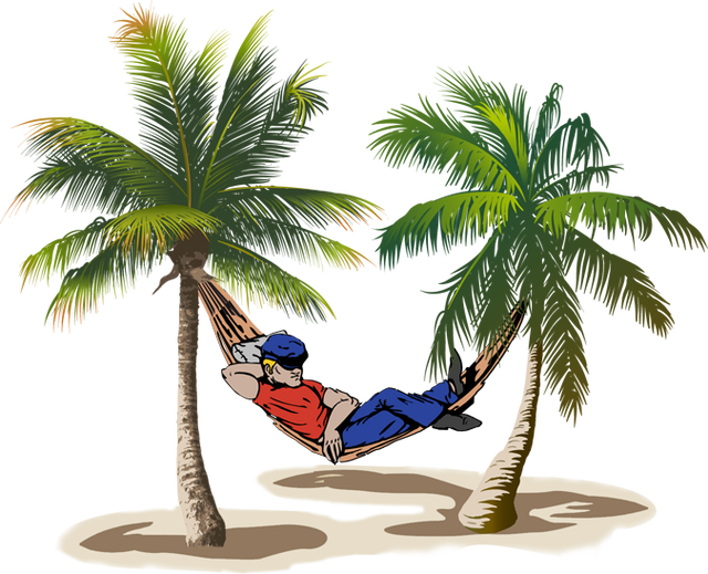 Relax Clipart Hammock - Man On Hammock Clipart (640x519)