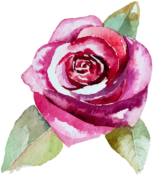 Mush Dogfood - Floribunda (600x704)