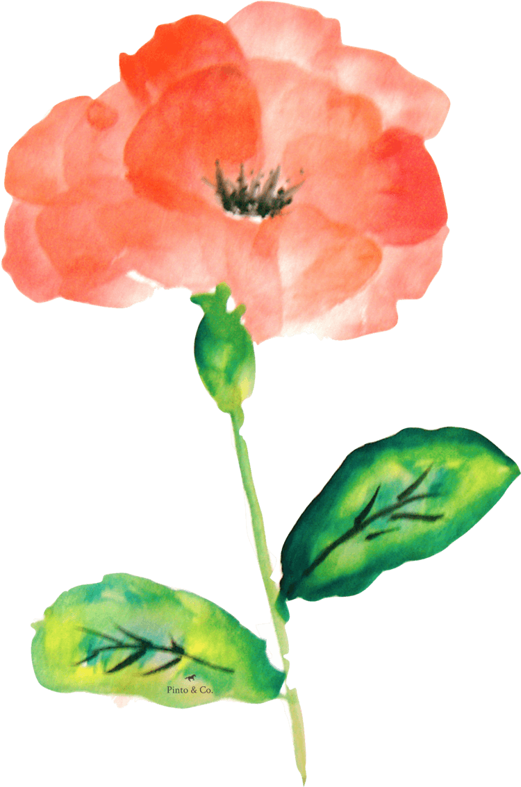 Rose W- Small Logo - Rose W- Small Logo (750x1134)