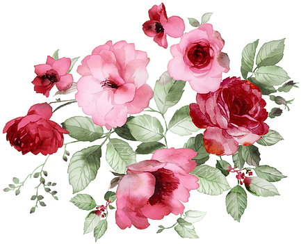 The Devonshire, Sheffield - Art Print: Alephcomo's Flowers, 61x46in. (524x380)