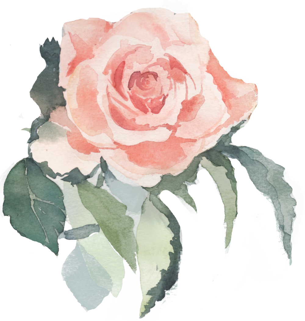 Wedding Photographer In Greece - Peach Coral Floral Garden, 24-pack Round Circle Gift (1000x1051)
