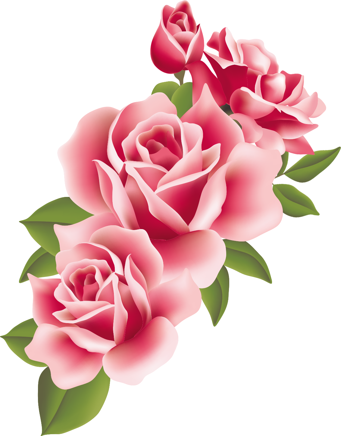 Http - //store1 - Up 00 - Com/2016 07/1469474023632 - English Roses Clip Art (1132x1448)
