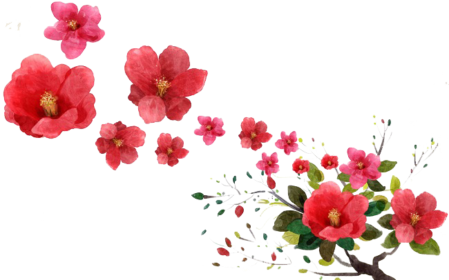 Flower Uae38uc5d0uc11c Uae38uc744 Ucc3eub2e4 Rose - Flower (650x406)