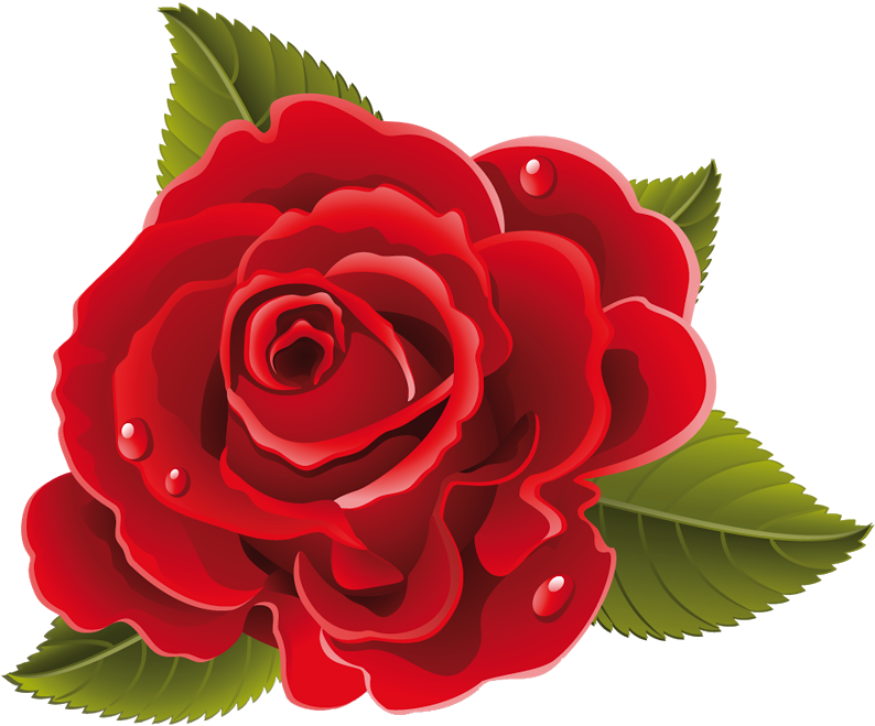 Rose Images, Paint Flowers, Red Roses, Beautiful Flowers, - Rosas Y Flores Animadas (859x872)