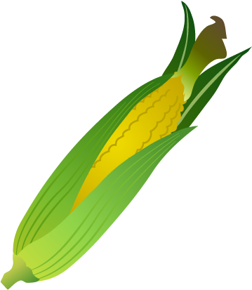 For Download Free Image - Maize (480x480)