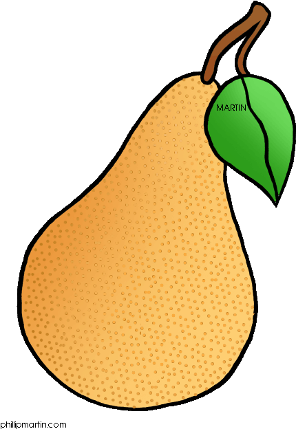 Orange Clipart Pear Fruit - Philipp Martin Fruit Clip Art (508x648)
