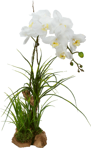 Artificial Orchid Double White - White Orchid Flowers Png Hd (500x500)