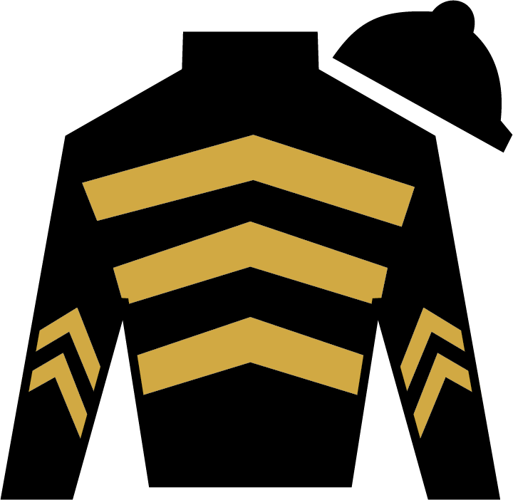 Bravazo Calumet Farm - Patch Derby Horse Silk Color (720x702)