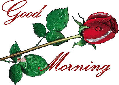 Random Images Good Morning Wallpaper And Background - Good Morning With Rangoli (432x311)