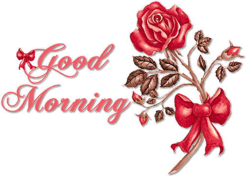 New Latest Good Morning Gif - Beautiful Gifs Of Flower Good Morning (504x362)