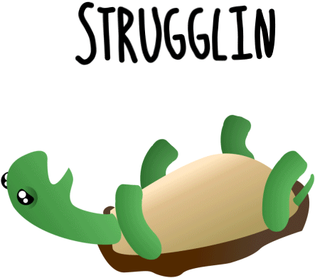 Gif Download - Upside Down Turtle Gif (500x500)