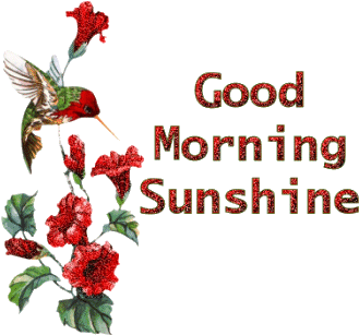 New God Images Of Good Morning God Morgon Triss I Damer - Red Hummingbird Throw Blanket (350x350)