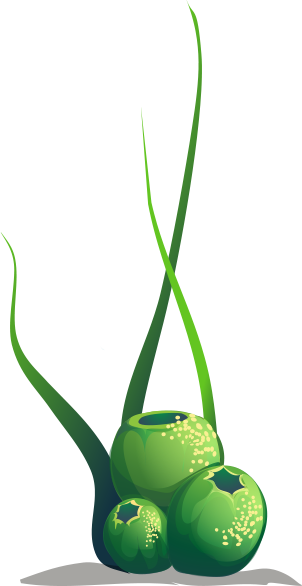 Us Today At 801 802 7200 To Schedule A Consultation - Grass (302x586)