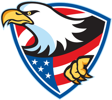 If Your Veteran Family Member Is Available To Talk - Cartoon American Bald Eagle (400x378)