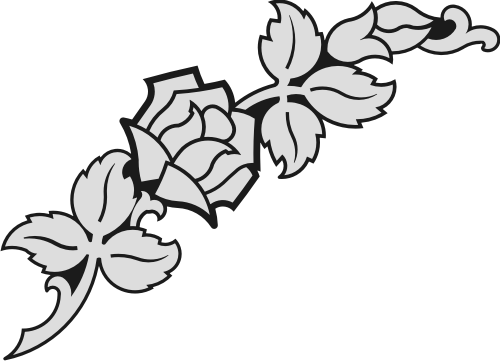 Insert Your Own - Insert Your Own (500x361)