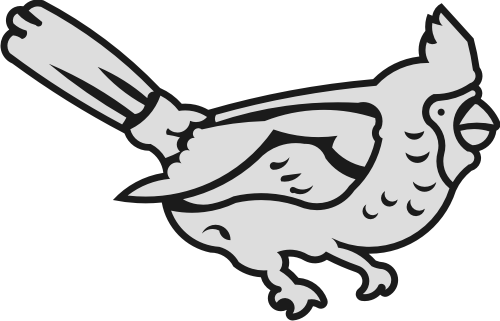 Insert Your Own - Insert Your Own (500x321)