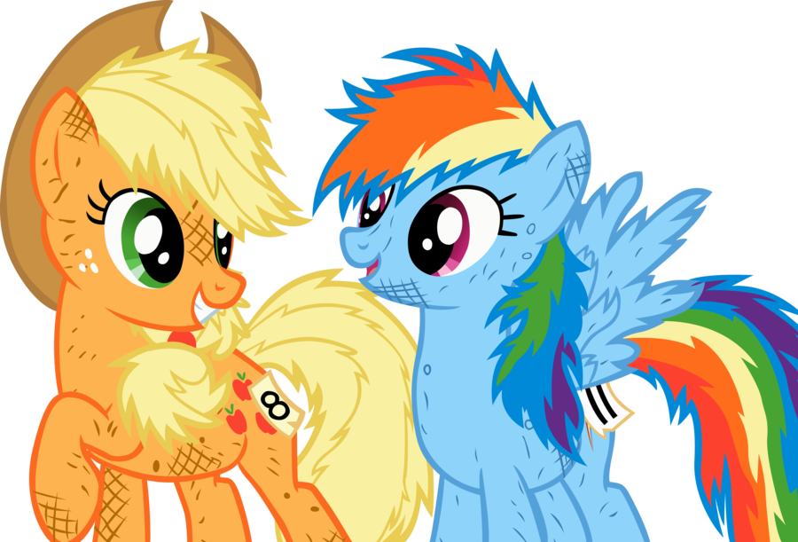 Mane 6 Project - Best Friends My Little Pony (900x611)