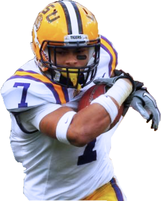 Pregabalin Back Order - Tyrann Mathieu Honey Badger (321x400)