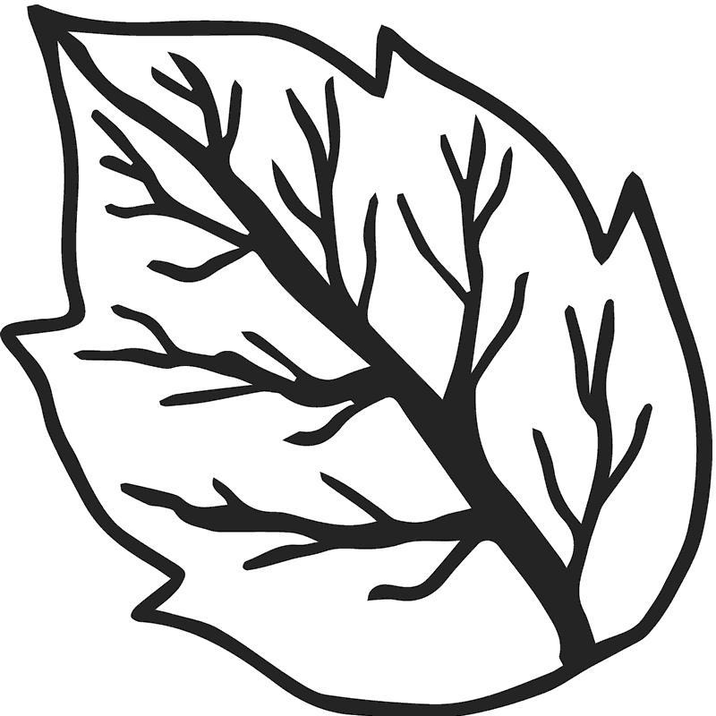 Elm Leaf Rubber Stamp - Postage Stamp (800x800)