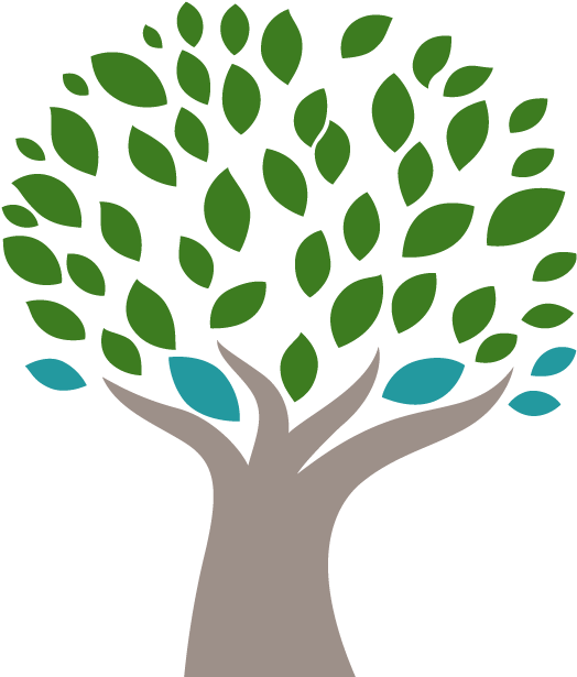 Elm Grove Favicon - Norway Spruce (605x640)