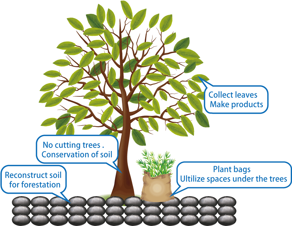 Not - 4 Årstider (1000x790)