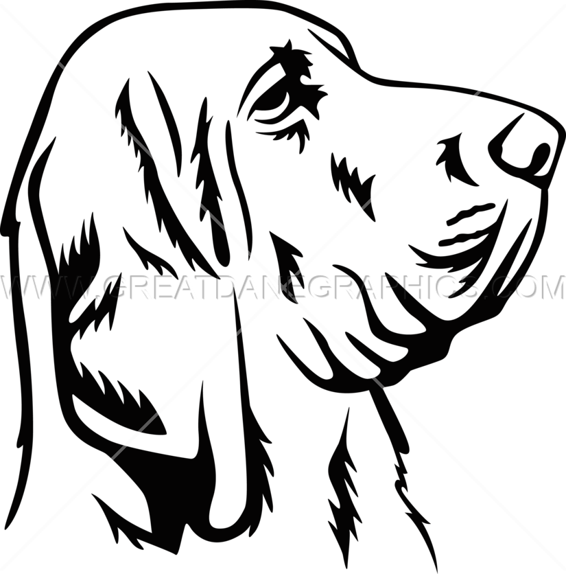 Hound Dog - Hound Dog Drawing (825x836)