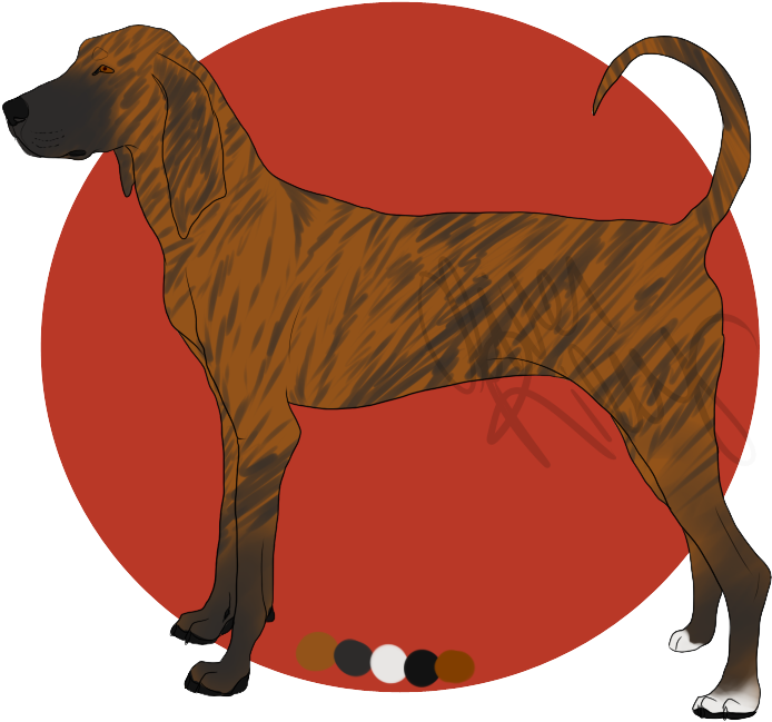 Red Brindle Plott Hound Import By Fontana-roccia - Scent Hound (735x684)