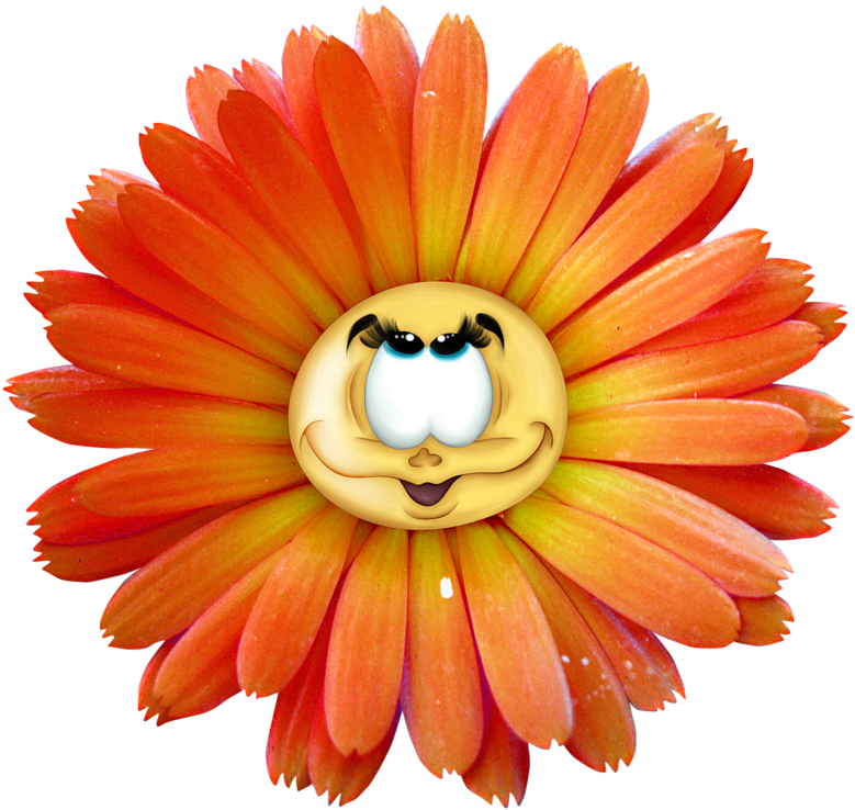 Yellow Flower Clip Art - Free Flower With Face (800x759)