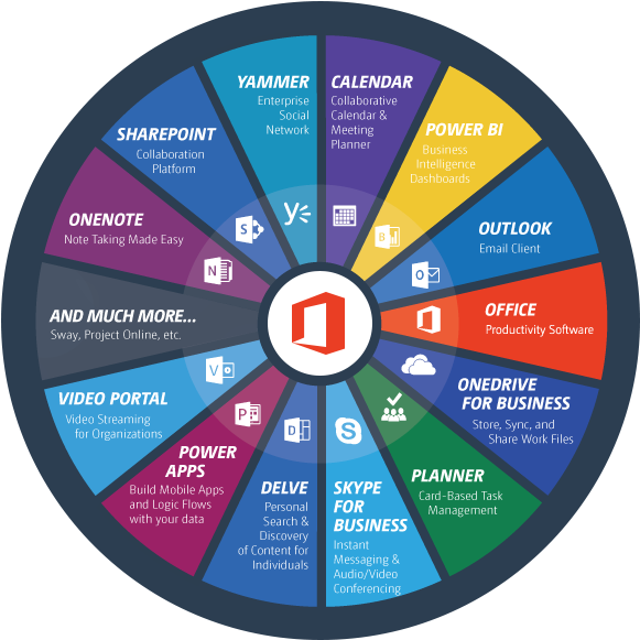 Infographic Video Software - Office 365 What To Use (704x704)