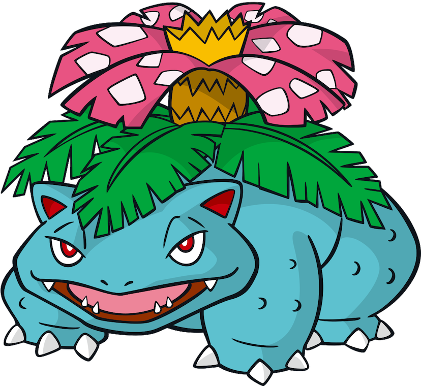 Ivysaur - Venusaur - Venusaur Pokemon (827x768)