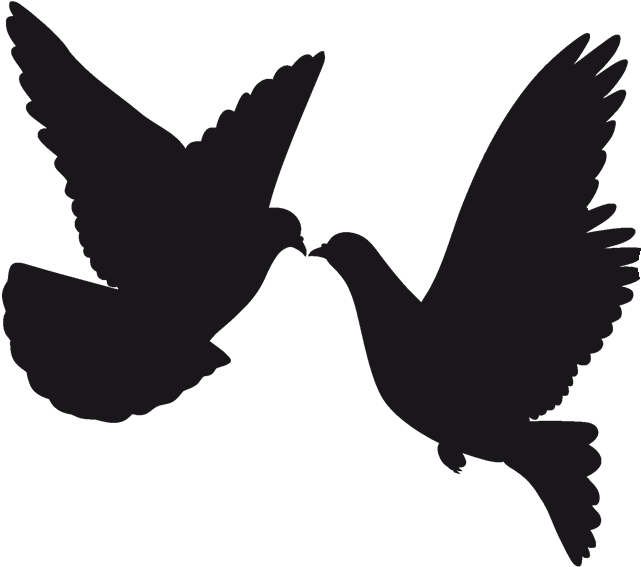 Wedding Silhouette Bride Clip Art - Silueta De Paloma Volando (800x600)