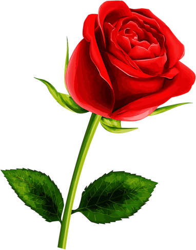 Pretty Flowers - Rose Flower Clipart (405x500)