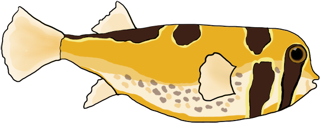 Masked Porcupine Fish Png - Pocupine Fish Drawing (650x279)